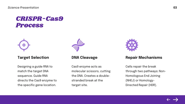 Simple Royal Purple Science Presentation - Page 3