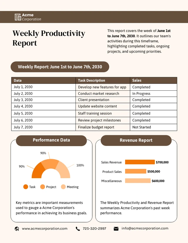 Weekly Productivity Report Template