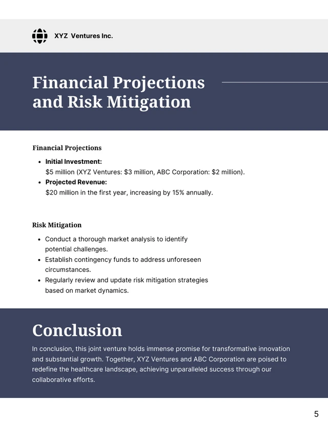 Joint Venture Proposal - Page 5