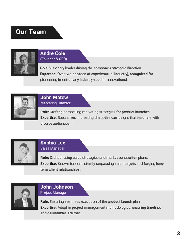 Purple Black Modern Minimalist Internal Resource Allocation Proposal - Page 3