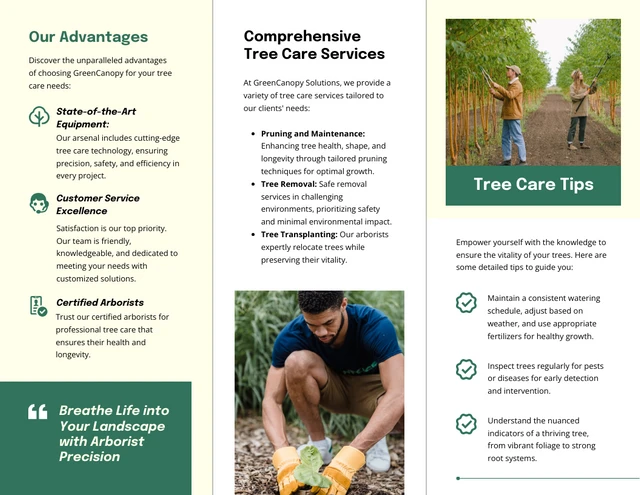 Tree Care & Arborist Services Brochure - Page 2