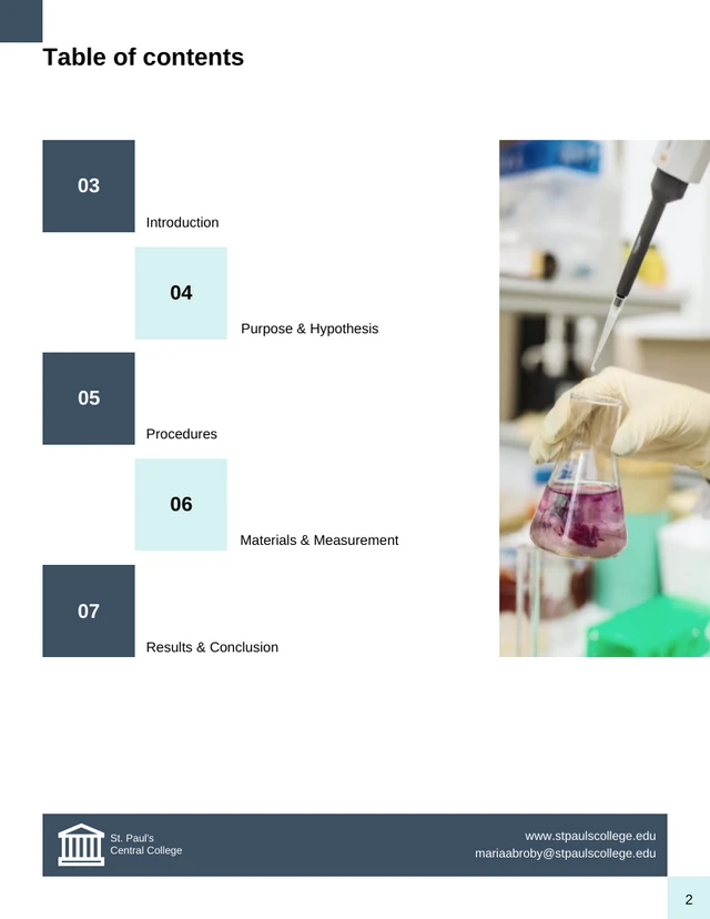 College Lab Report Template - Page 2