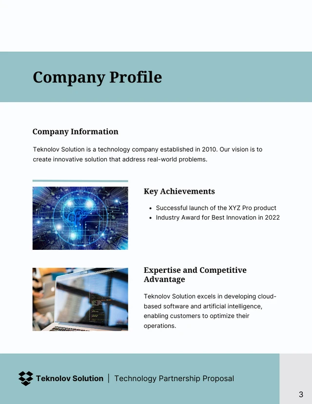 Technology Partnership Proposal - Page 3