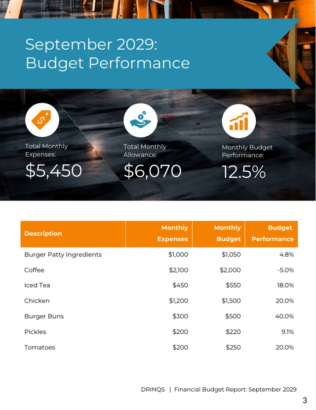 Professional Business Financial Report Template - Page 3