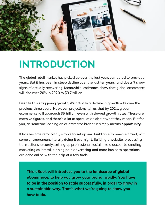 eCommerce Lead Generation Ebook - Page 3