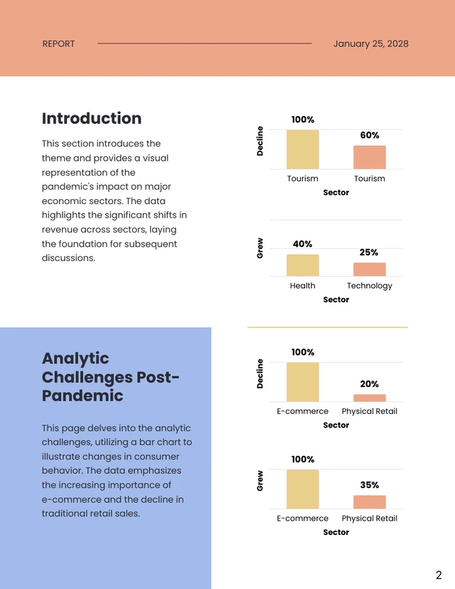 Post-Pandemic Analytic Insights: Challenges and Opportunities Report - Page 2