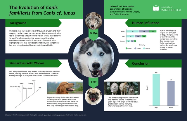 How Wolves Evolved Into Dogs Scientific Poster Template