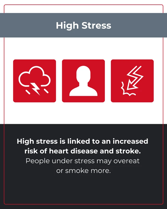 Heart Disease Risk Factors Instagram Carousel - Page 3