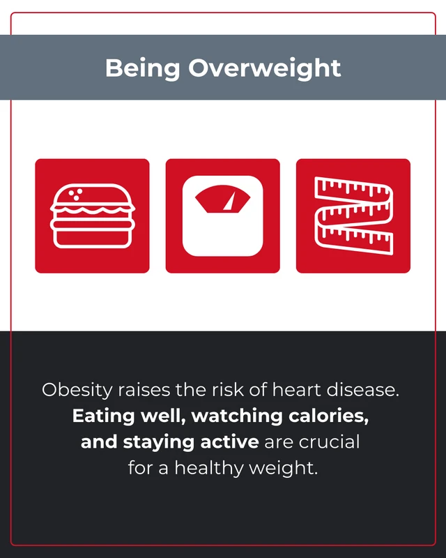 Heart Disease Risk Factors Instagram Carousel - Page 4