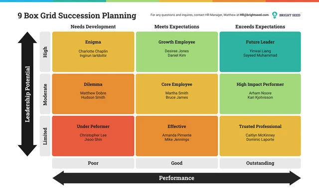 9 Box Grid Succession Planning Template