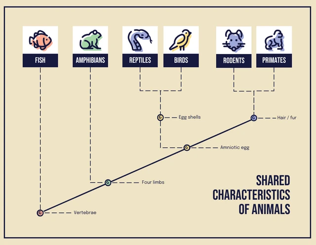 Simple Iconic Customizable Cladogram template