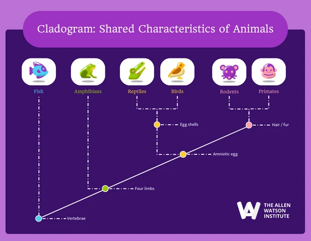 Purple Playful Cladogram of Animals template