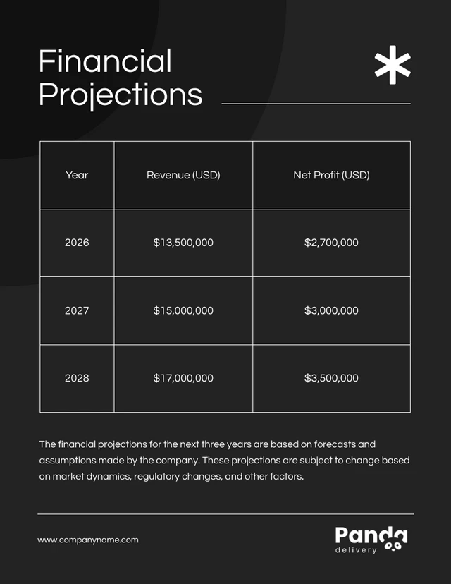 Black and White Simple Company Financial Plans - Page 5