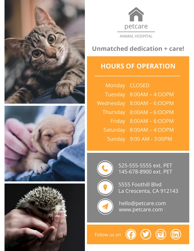 Colorful Animal Hospital Flyer