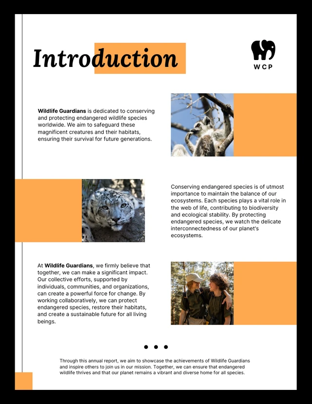 Black, White and Orange Animal Organization Annual Charity Report - Page 2