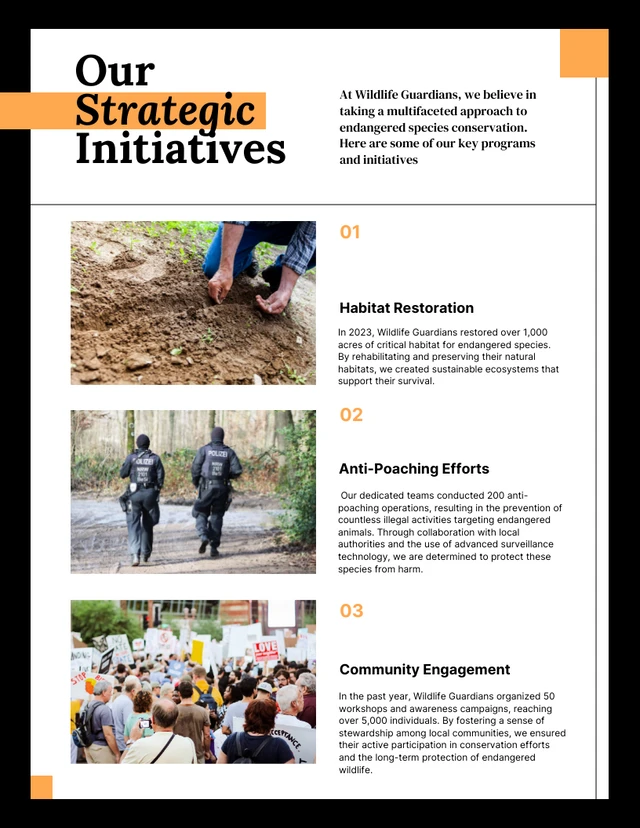 Black, White and Orange Animal Organization Annual Charity Report - Page 3