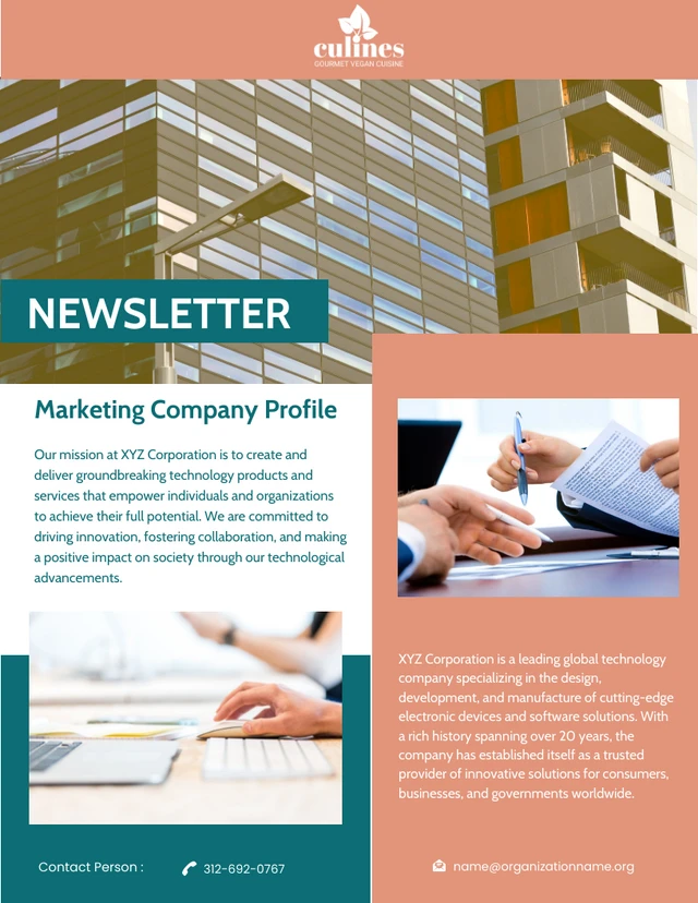 Red Minimalist Company Marketing Newsletter