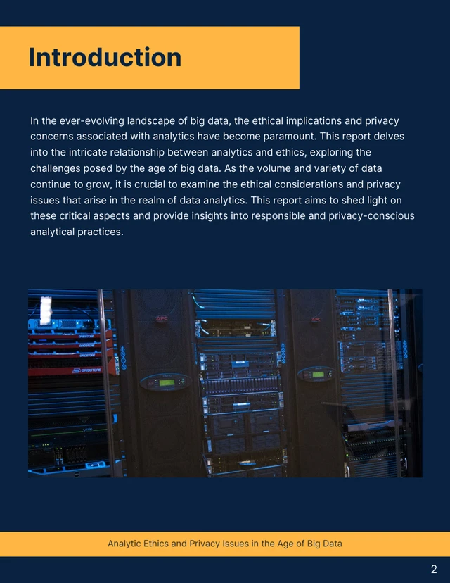 Navigating Ethics: Analytic Privacy Issues Report - Page 2