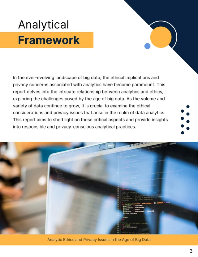 Navigating Ethics: Analytic Privacy Issues Report - Page 3