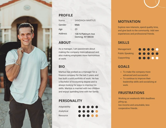 White And Orange Diagram User Persona Template