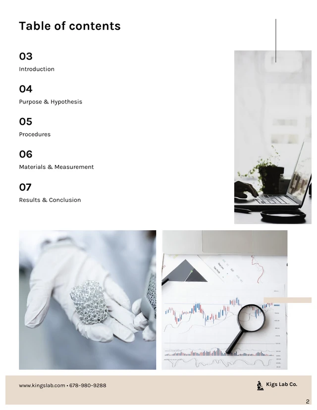 Formal Lab Report Template - Page 2