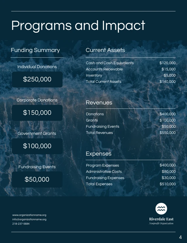 Dark Blue Ocean Annual Charity Reports - Page 4