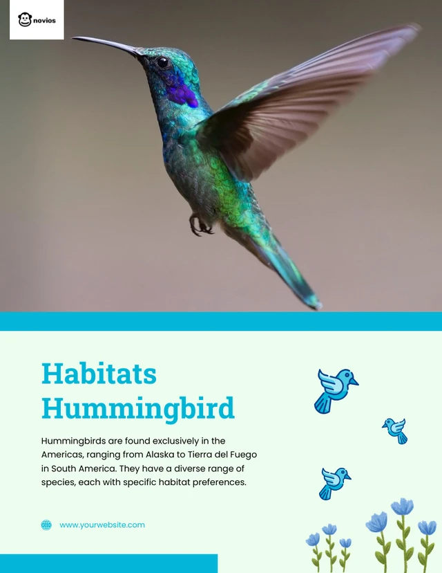 Hummingbird Natural Habitat Blue Flyer Template
