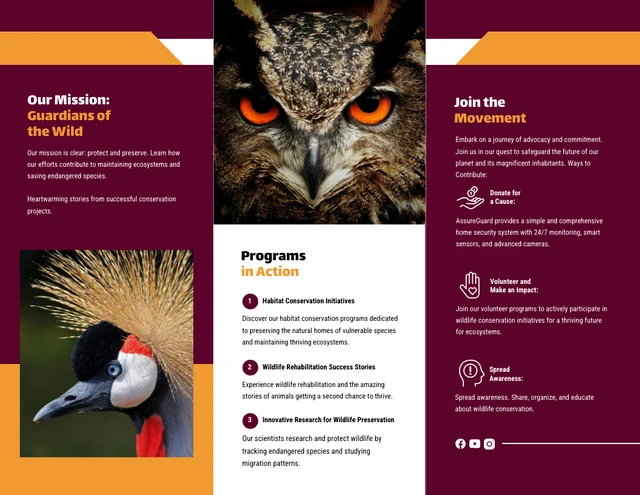 Wildlife Protection Brochure - Page 2