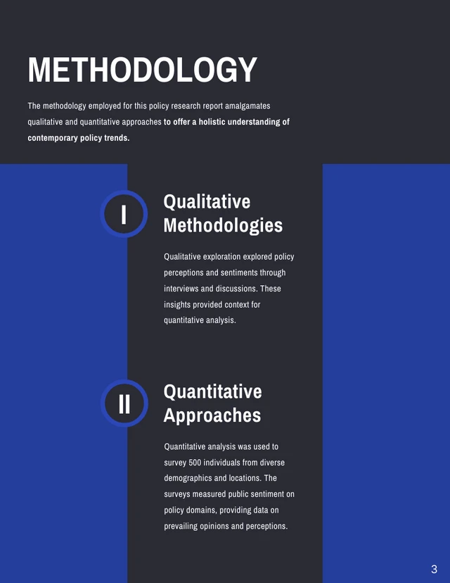 Policy Research Report - Page 3