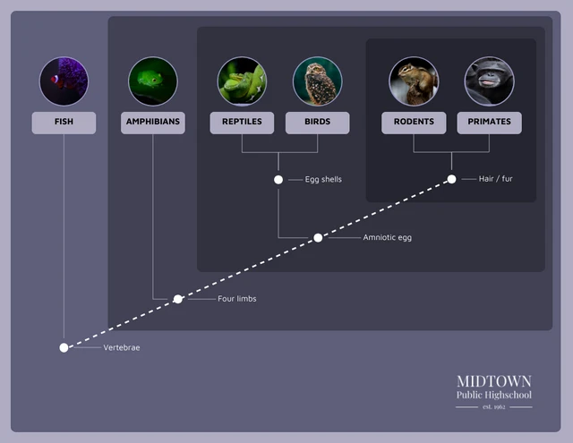 Dark Cladogram of Animals template