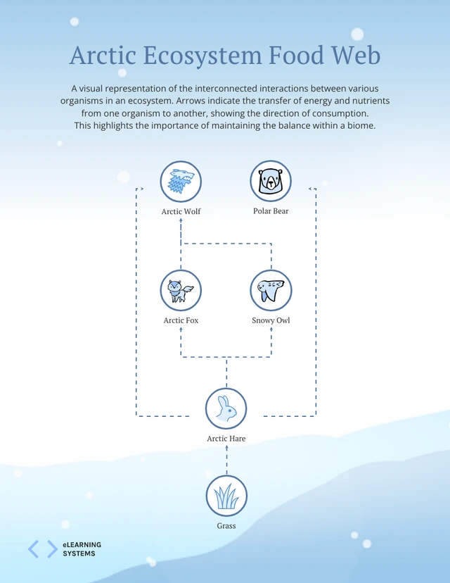 Light Blue Arctic Ecosystem Food Web Diagram Template