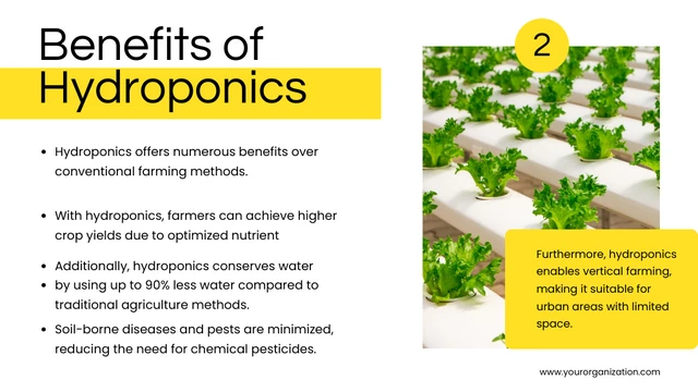 Simple White and Yellow Hydroponic Program Presentation - Page 3