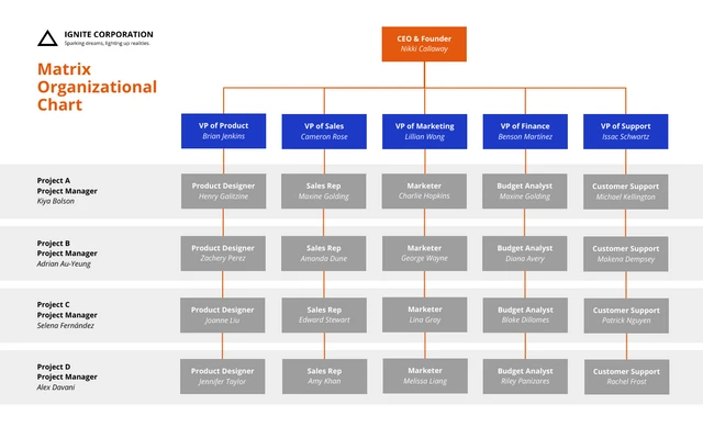 Leadership Matrix Organizational Chart Template