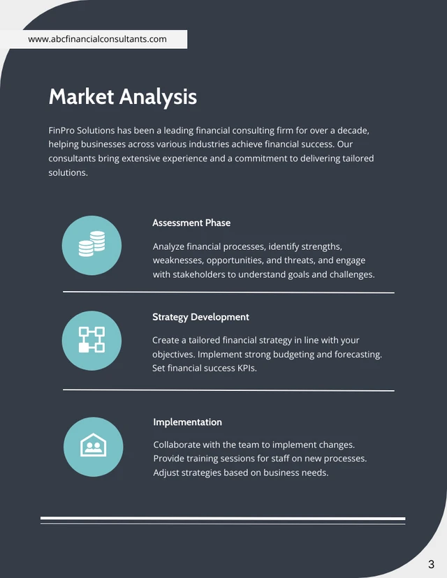 Financial Consulting Proposal - Page 3