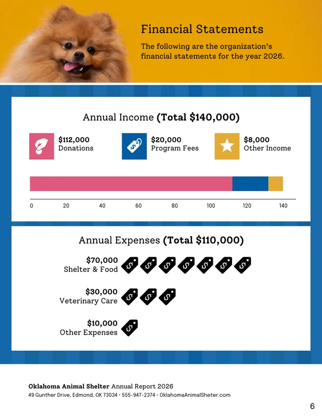 Nonprofit Annual Report Template - Page 6