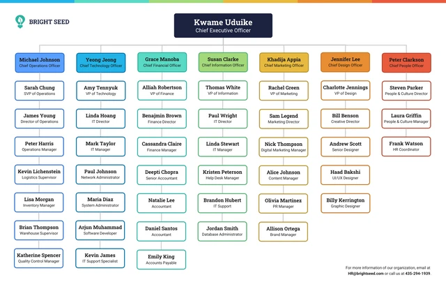 Enterpise Organization Chart Diagram Template