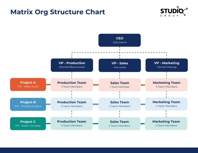 General Matrix Organizational Chart Template