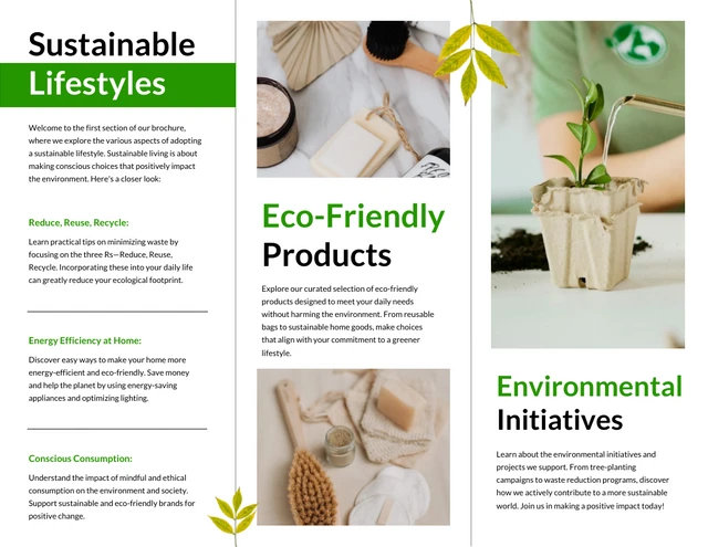 Eco-Friendly Practices Brochure - Page 2