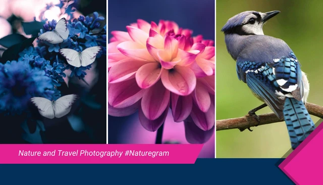 Nature Photographer Business Card - Page 2