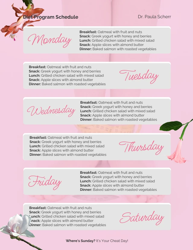 Diet Program Schedule Pink Template