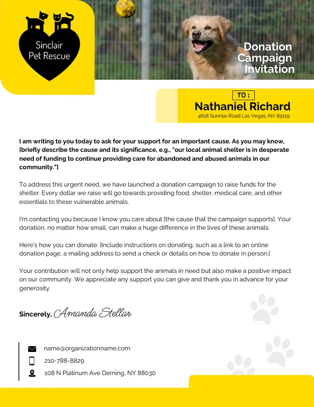 White And Yellow Pet Shelter Donation Campaign Letterhead
