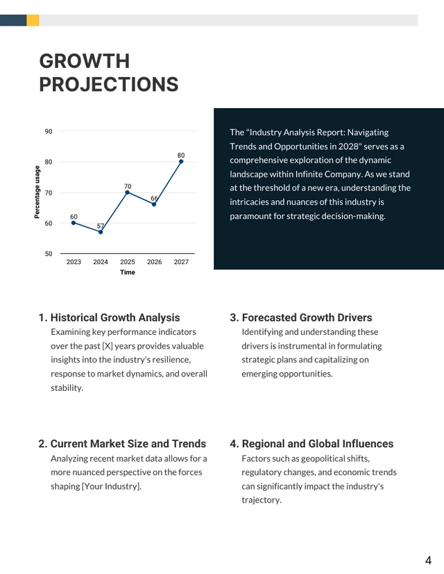 Industry Analysis Report - Page 4